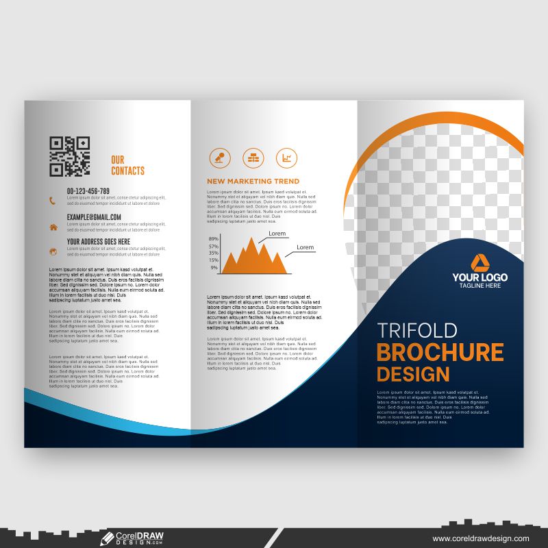  Corporate trifold business brochure design template 