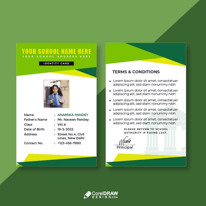 Download Abstract green simple vertical Primary School Student ID Card  Vector | CorelDraw Design (Download Free CDR, Vector, Stock Images,  Tutorials, Tips & Tricks)