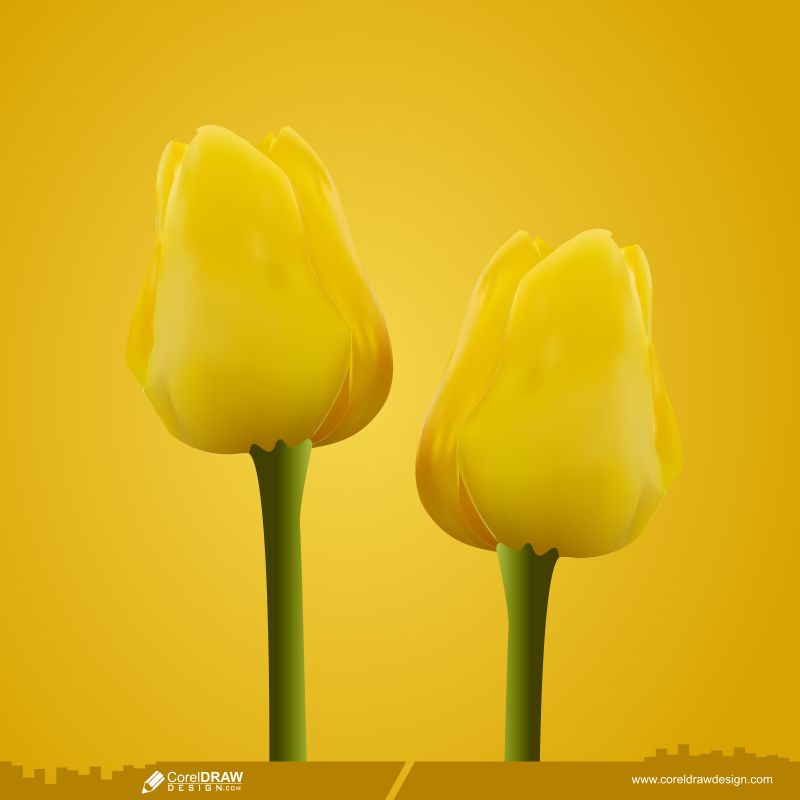Beautiful Yellow Color Tulips Nature Free Vector Background