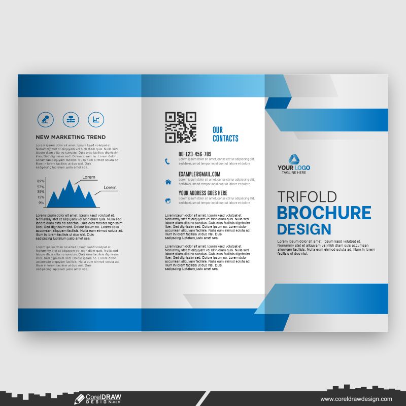 blue brochure design business template download vector cdr