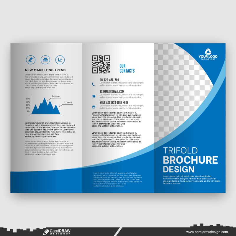 blue & white corporate trifold business brochure design template