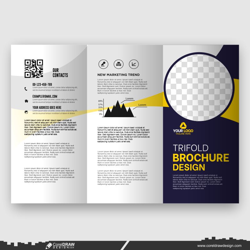 blue & yellow modern business design trifold brochure template vector