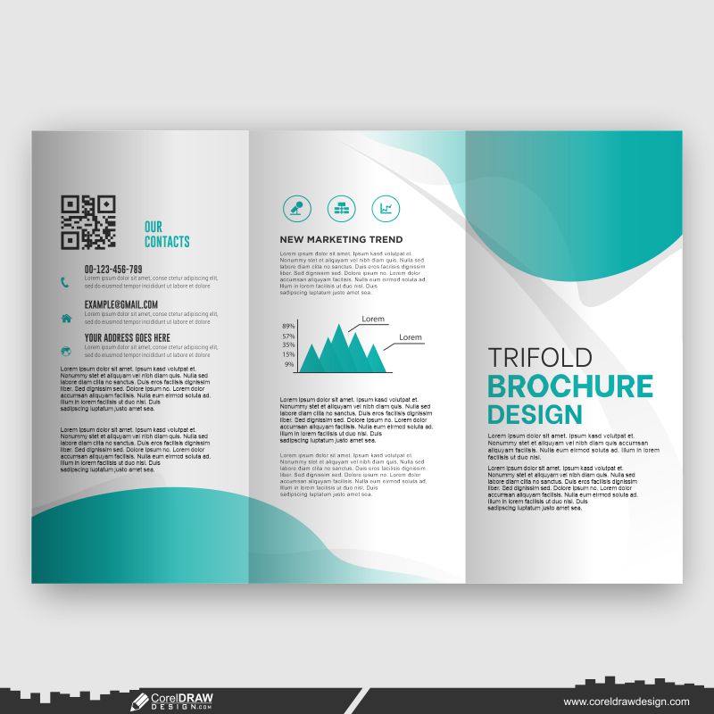 brochure design business template customize download vector