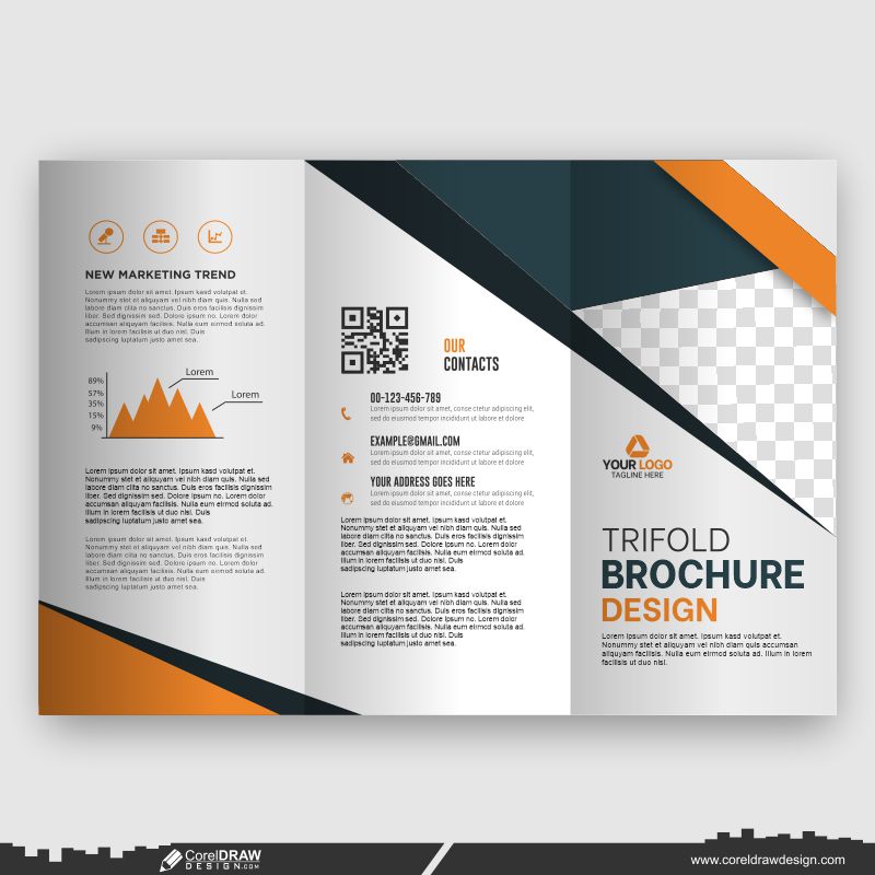 brochure design business template download vector