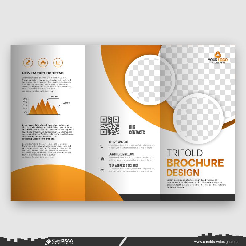 brochure design customize your business template cdr vector