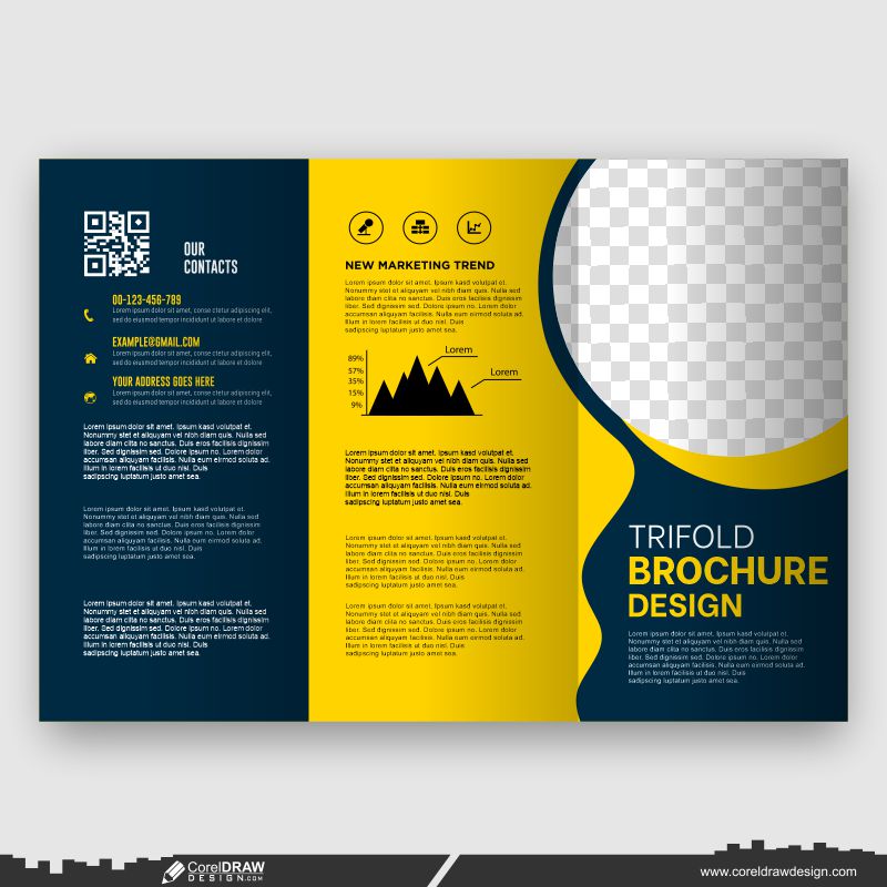 business modern design trifold brochure template vector