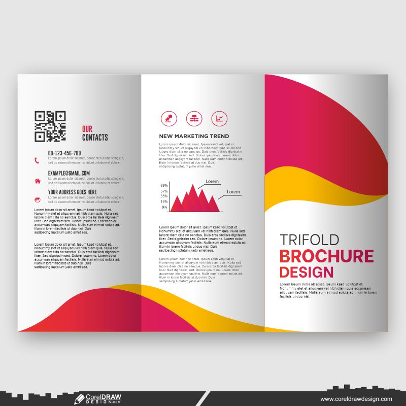 business template brochure design customize download vector