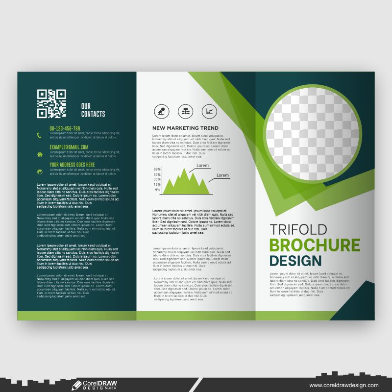 business trifold brochure design template vector