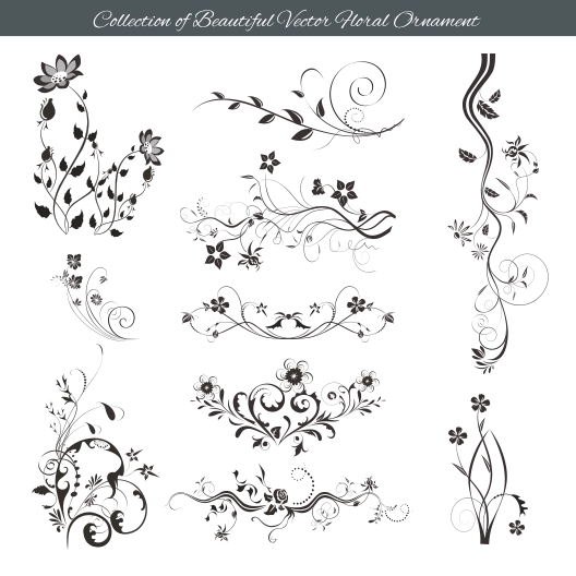 Collection of beautiful vector floral ornament design, Free CDR file on CorelDrawDesign