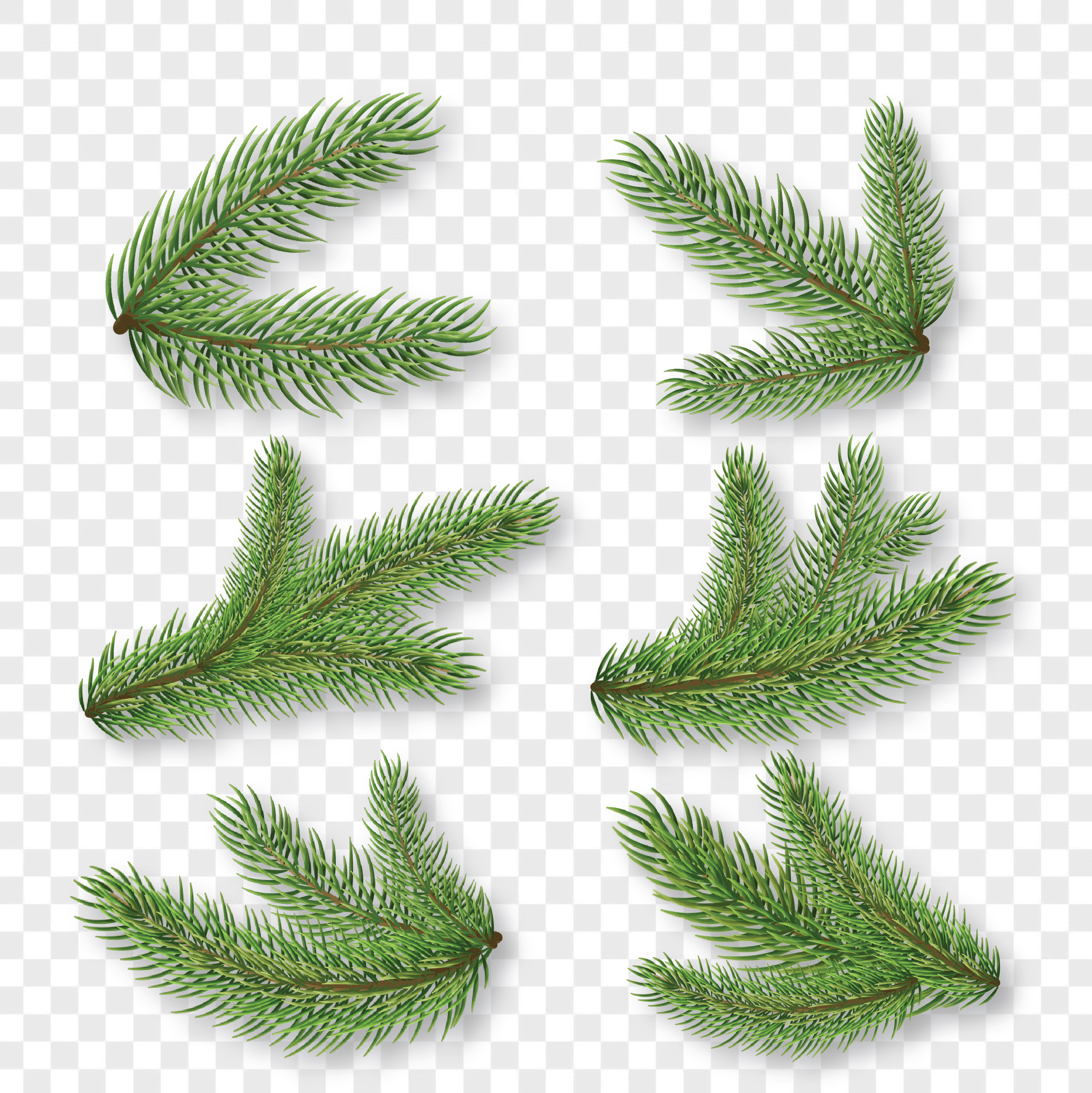 Collection Of Christmas Tree Branches Clipart - Christmas Tree Branches Clipart, HD Png Download