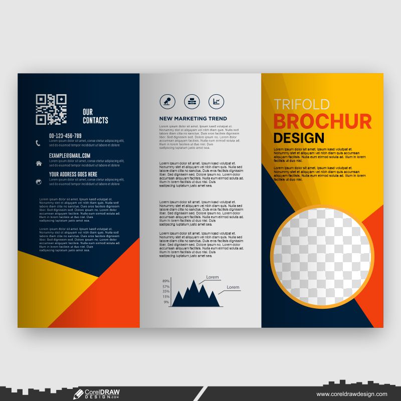 colorfull brochure design customize your business premium