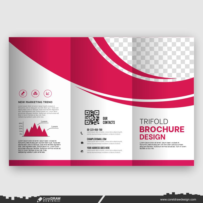 corporate color trifold business brochure design template vector