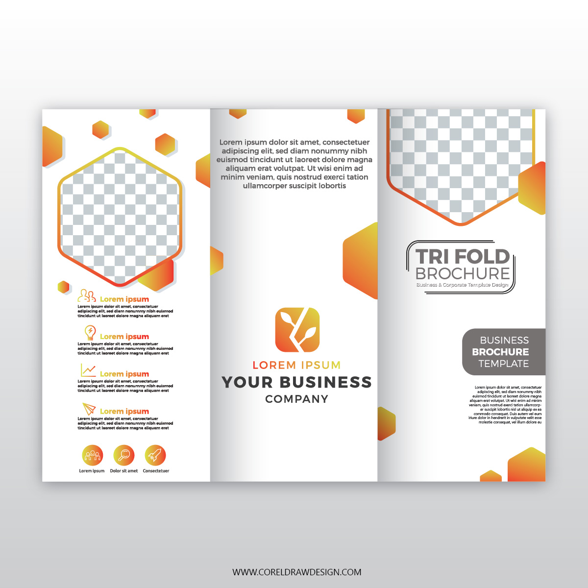 Corporate Trifold Broucher Template