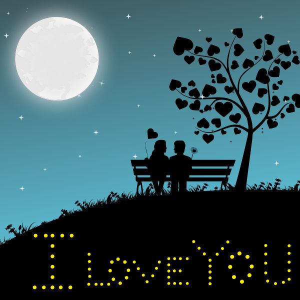 Couple seat together on valentines day vector image