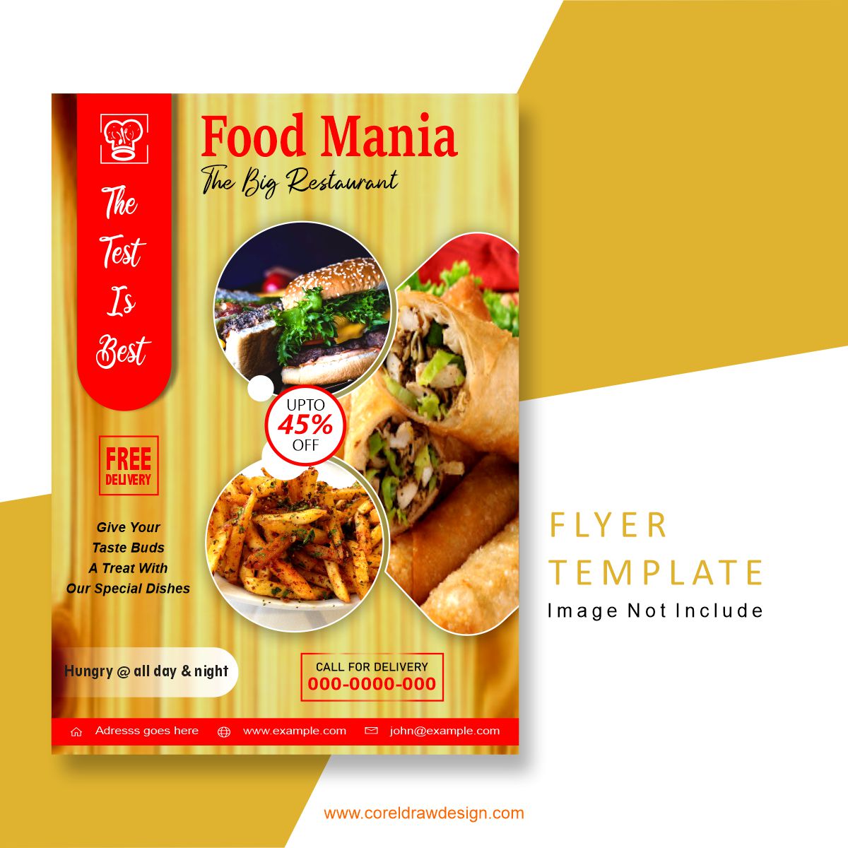 Food Mania Flyer Design Vector Template