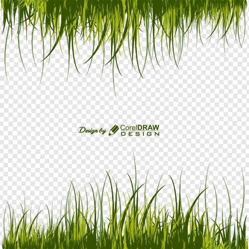Green Grass Border With Transparent Background Vector