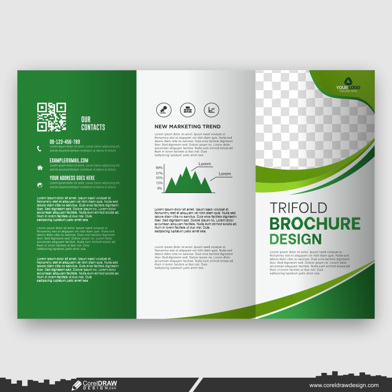 modern design business trifold brochure template vector