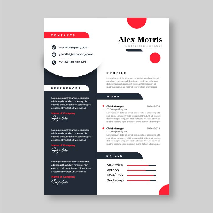 Modern Resume portfolio and cv template job application design template