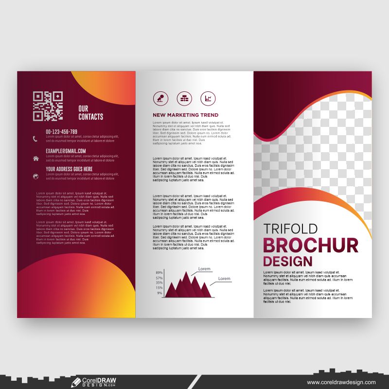 premium brochure design customize your business type