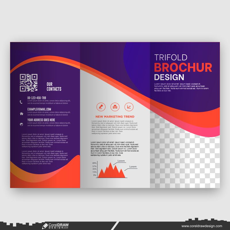 premium colorfull brochure design customize your business type