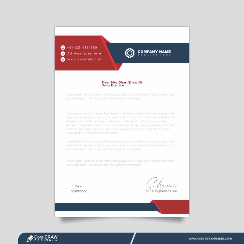 Download Professional Creative Letterhead Template Design For Free Premium Vector CorelDraw 