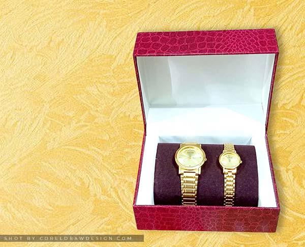 Sonata Golden Couple Wrist Watch Set with Box. Premius Wedding Gift 