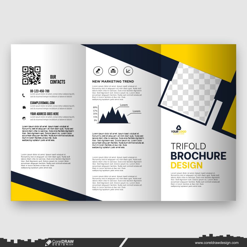 square modern business design trifold brochure template vector