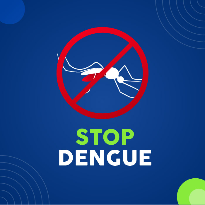 Stop dengue awareness poster vector template