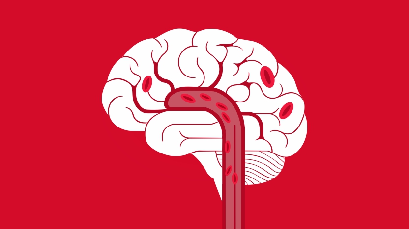  White brain with red background Vector illustration Design