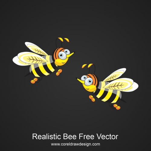 Realistic Bee Free Vector