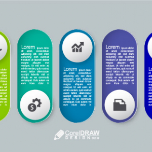 Flat Colorful Infographic Timeline  Buttons Options Element