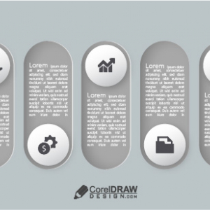 Flat Grey Infographic Timeline  Buttons Options Element