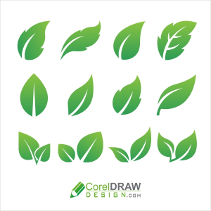 Set of green leaf logo & icons design inspiration vector icons, Free CDR
