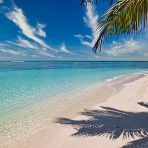 Beautiful Maldives Beach Side View  4K Stock HD Image