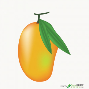Mango image Illustration Free Vector