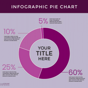 Corporate Flat Infographic Pie Chart Vector