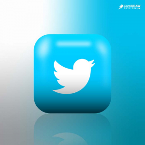 Premium popular twitter Realistic glossy 3D icons buttons with  reflection vector