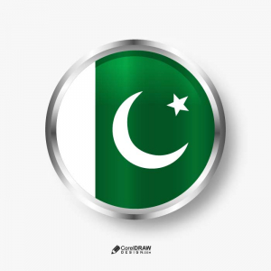 Abstract Gradient pakistan metallic badge  vector