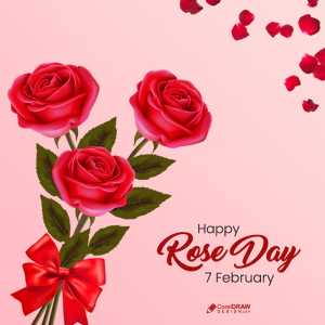 Beautiful Pink Rose and Rose petals 7 feburary rose day free background
