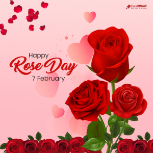 Valentines day  Pink Rose and Rose petals 7 feburary rose day free background
