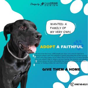 Dog adoption colorful and Creative poster vector design for free with cdr file