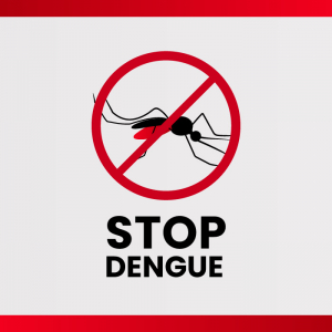 Red Stop dengue awareness poster vector template