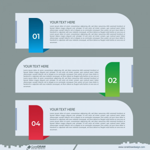 Infographic Design 3 Steps vector