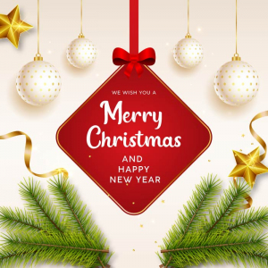 Beautiful merry christmas festival lettering wishes card vector