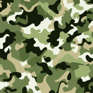 light camo Flag Abstract Pattern Design Vector For Free