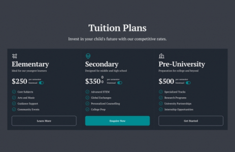 Tuition Plans Price Chart For Webiste Vector Design Download For Free