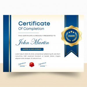 Corporate completion Company Professional Certificate vector template