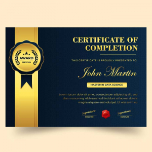 Company Professional Certificate vector template