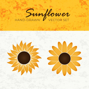 Beautiful Hand-drawn Sunflower vector set coreldraw cdr