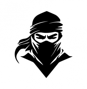 Ninja vector and logo design and creativity for free in adobe illustration 2024